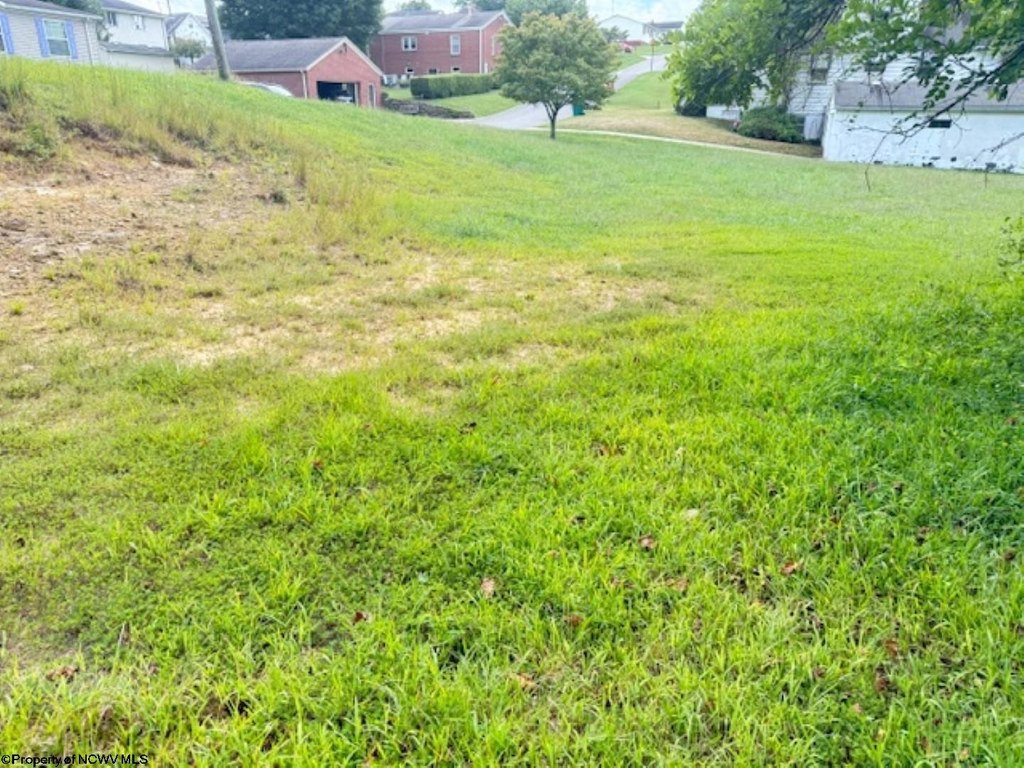 Picture 14