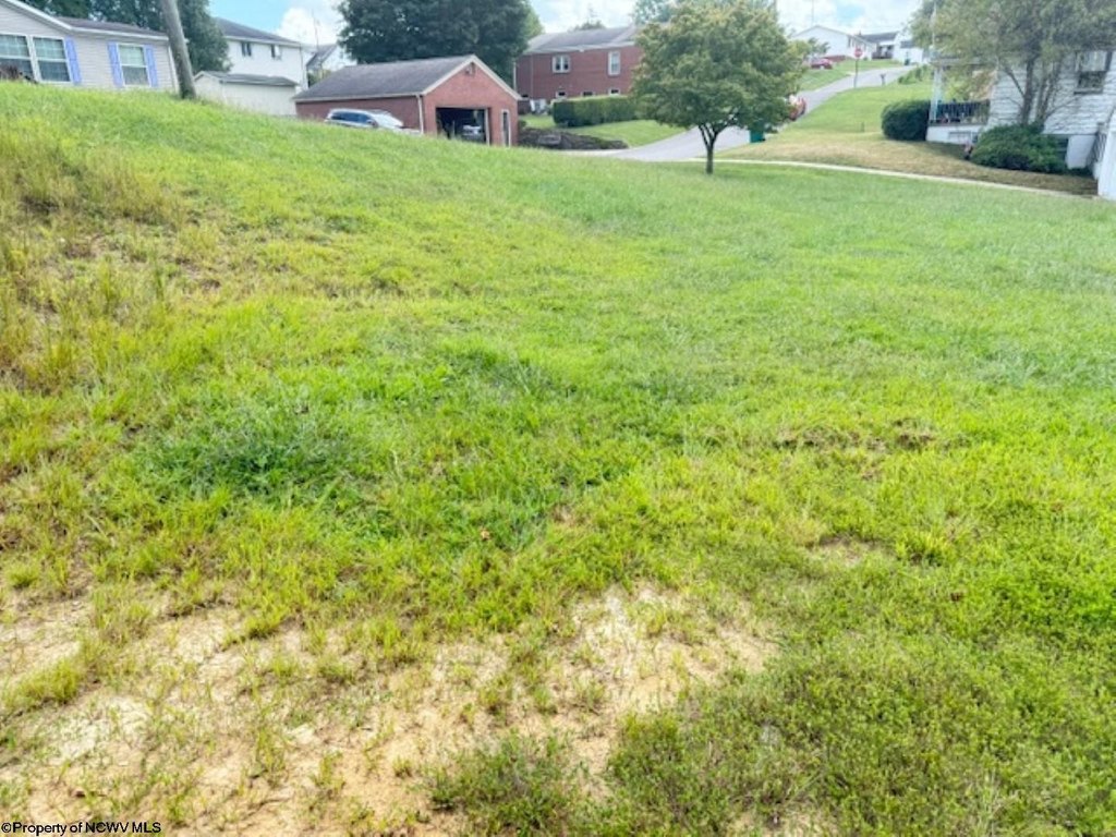 Picture 15