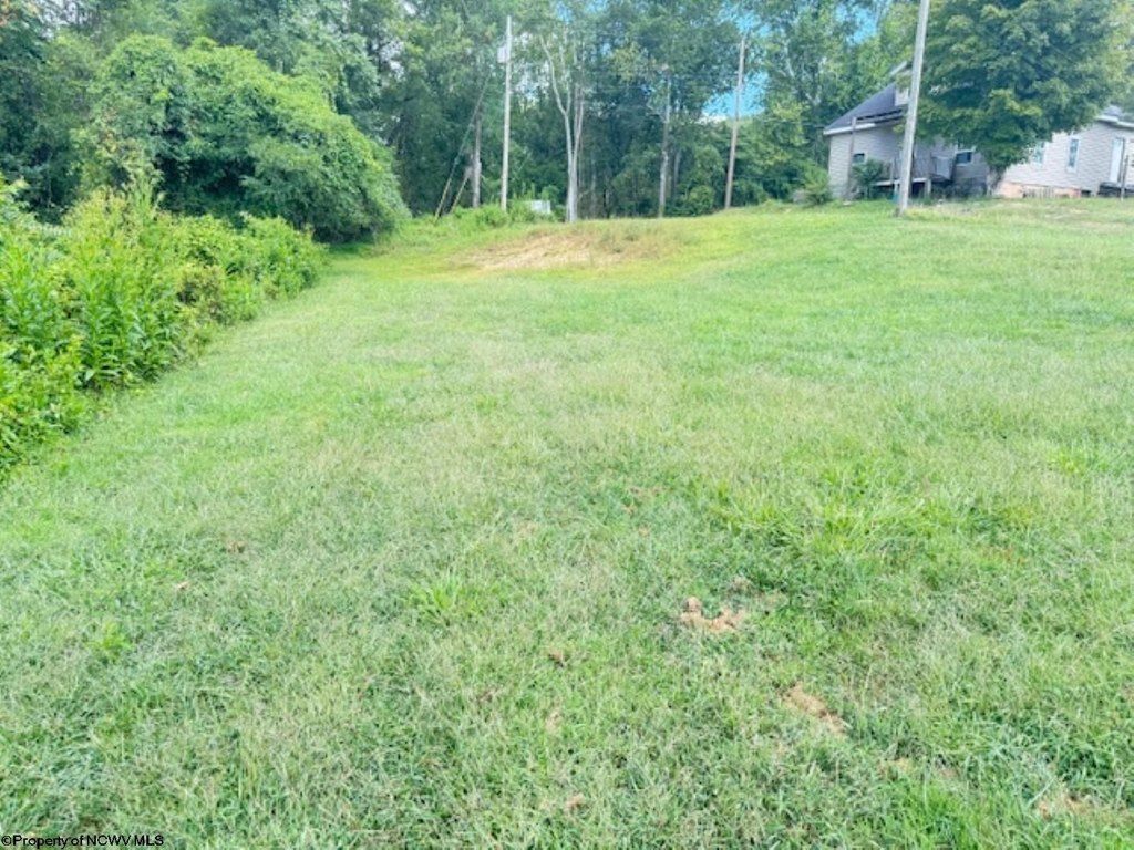 Picture 16