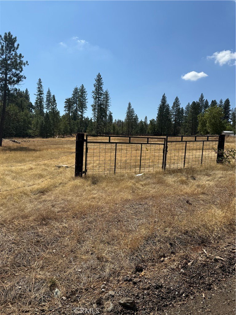 Coulterville Land with Development Potential