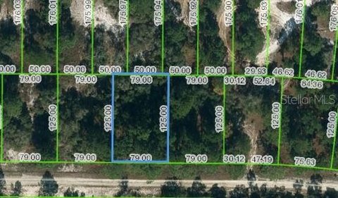 Residential Land in Lake Placid