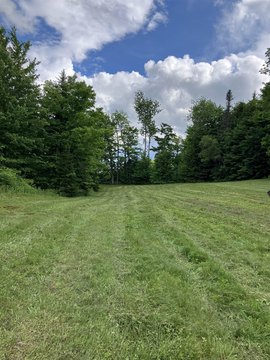 Land, Northfield, VT