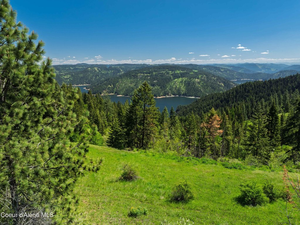 Picture 29