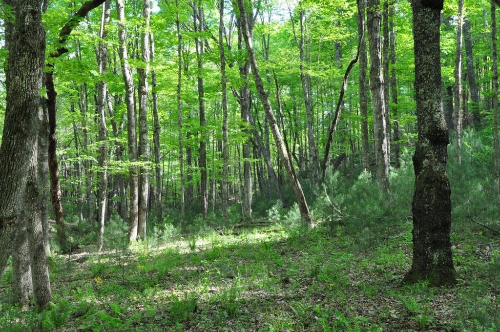 Picture 15