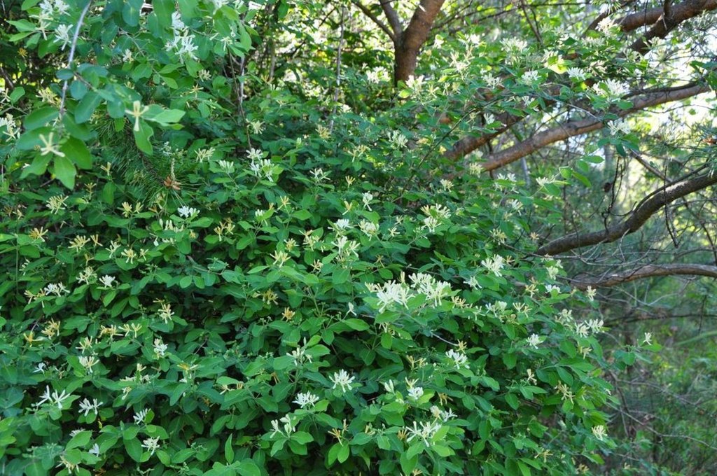 Picture 9