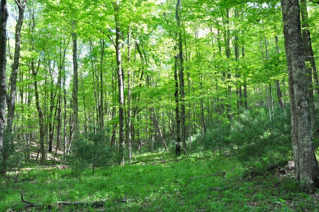 Picture 4