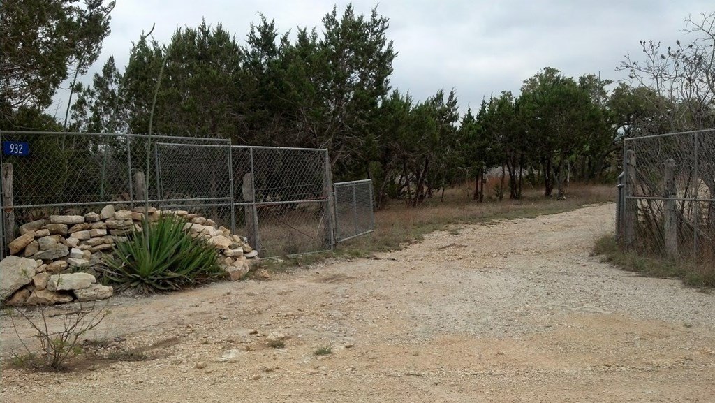 Picture 21