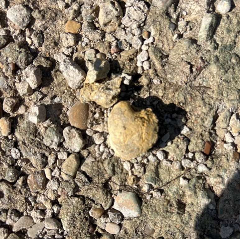 Picture 22