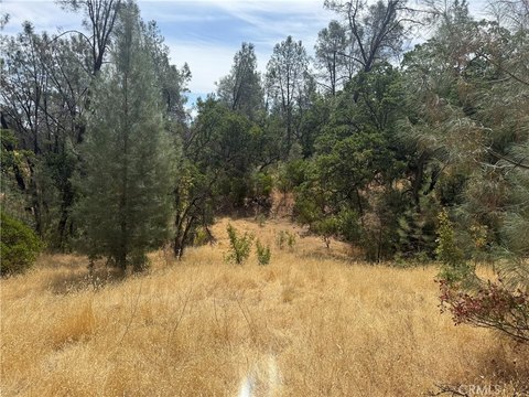 Rancho Tehama Land Opportunity
