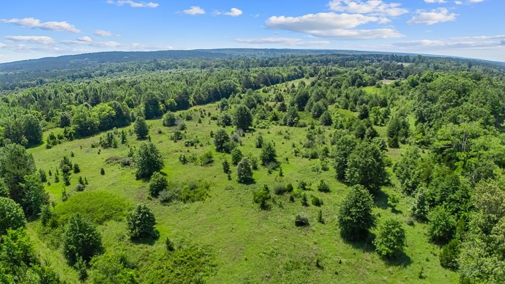Nacogdoches Land Opportunity