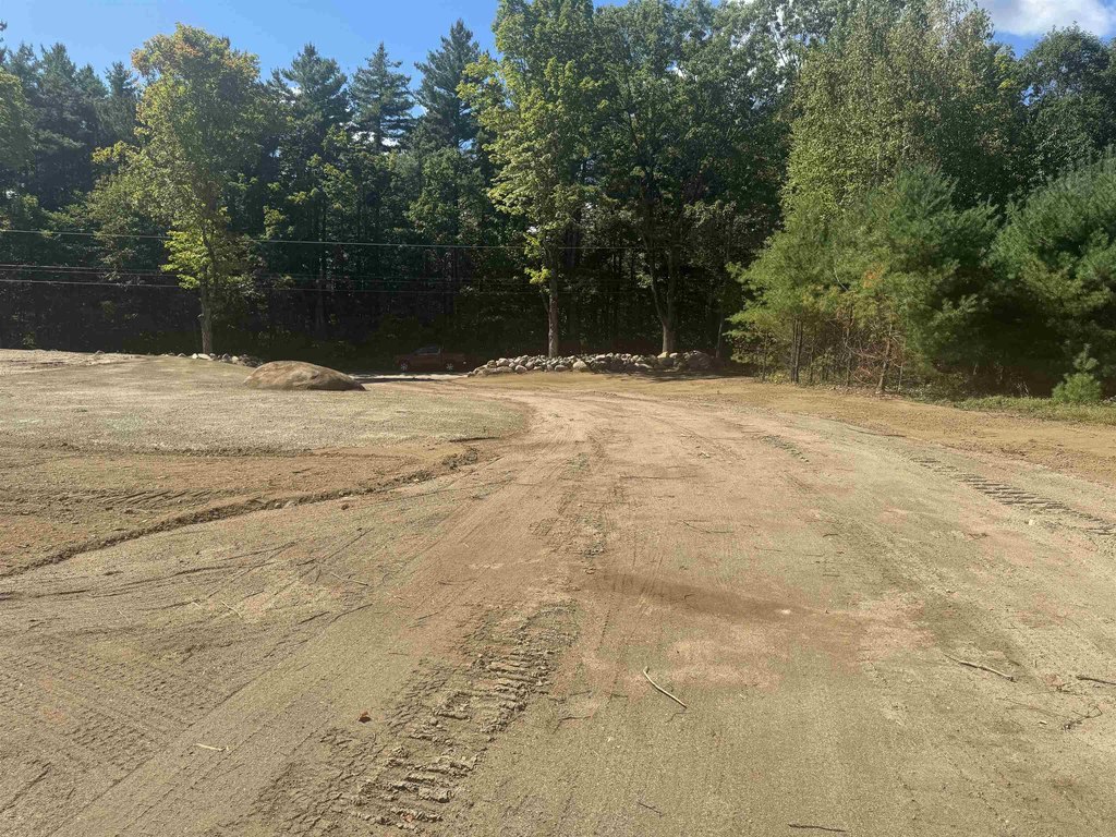 Picture 17
