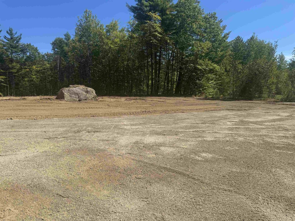 Picture 15