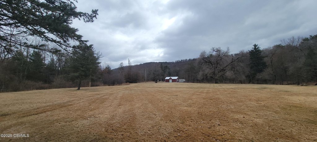 Picture 5