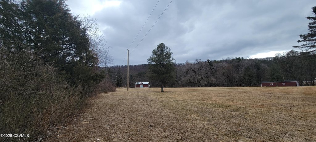 Picture 6