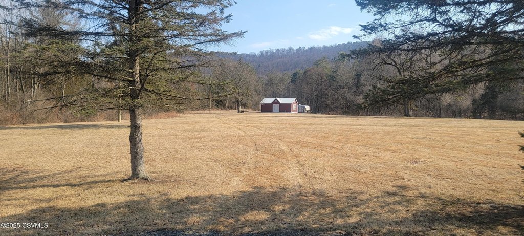 Picture 3