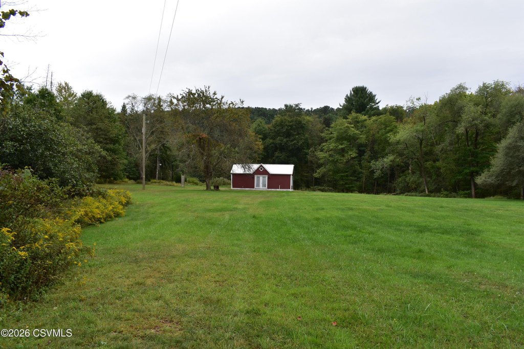 Picture 5