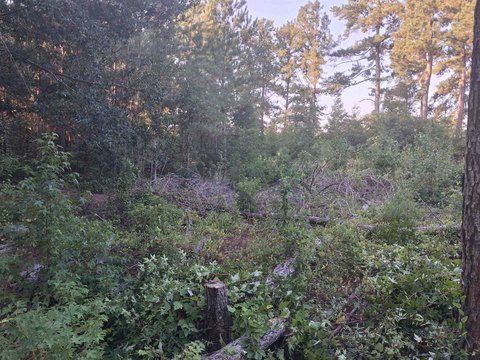 LAND, Lake City, SC