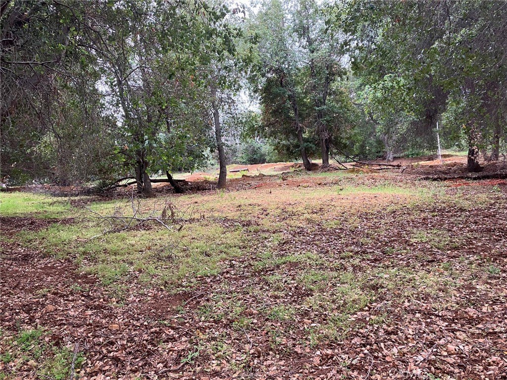 Kelseyville Land with Lake Views