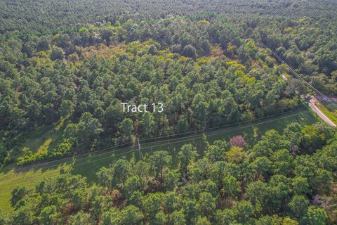 Timberland Investment Tract