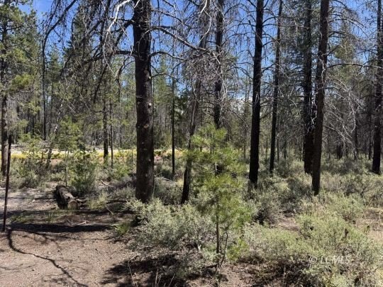 Chiloquin Land with Utilities