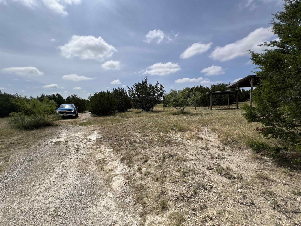 Picture 8