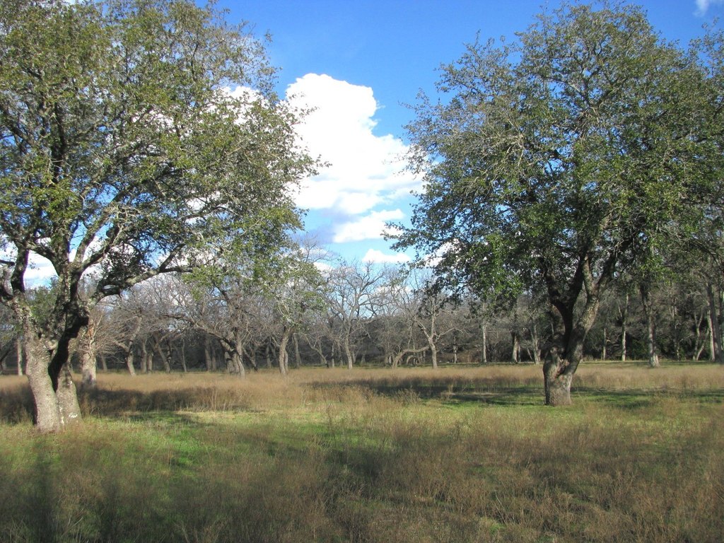Picture 17