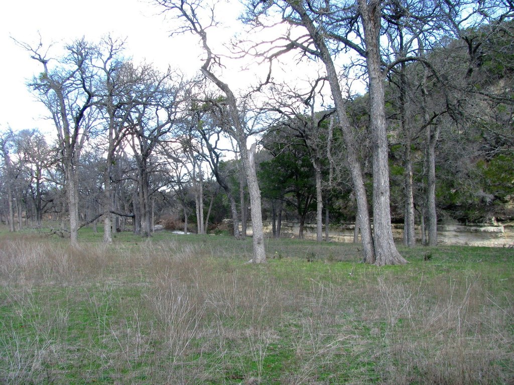 Picture 18
