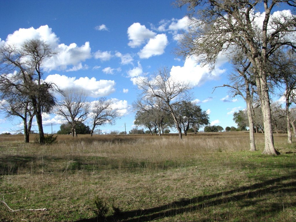 Picture 14