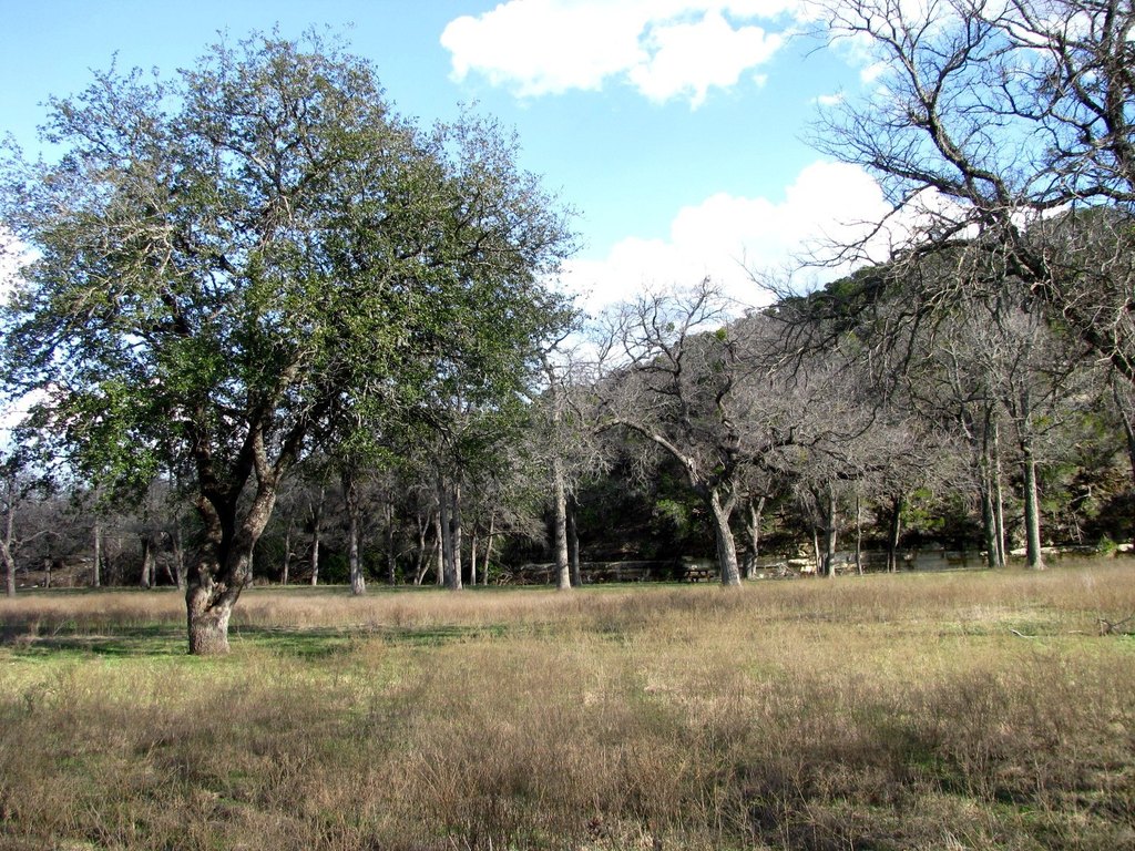 Picture 16