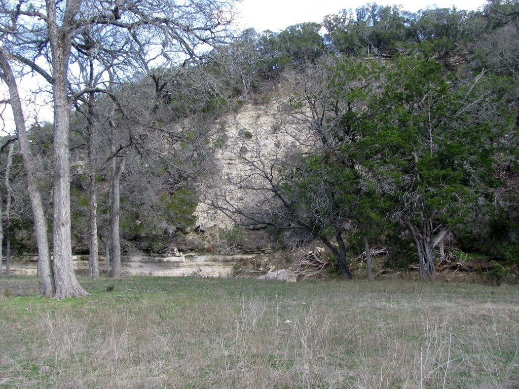 Picture 19