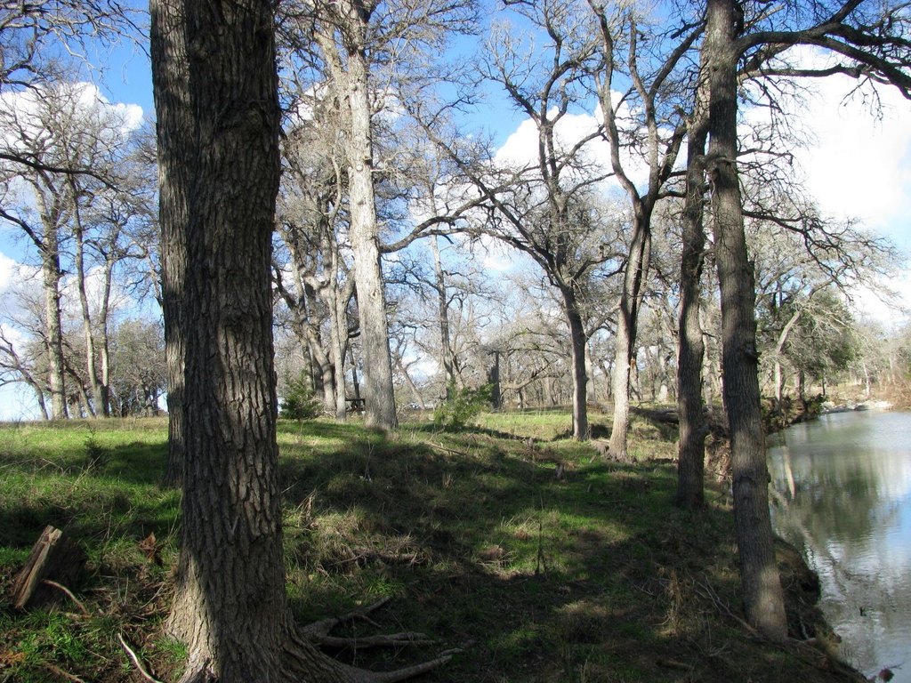 Picture 12