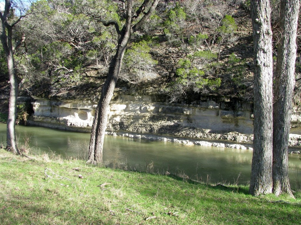 Picture 8