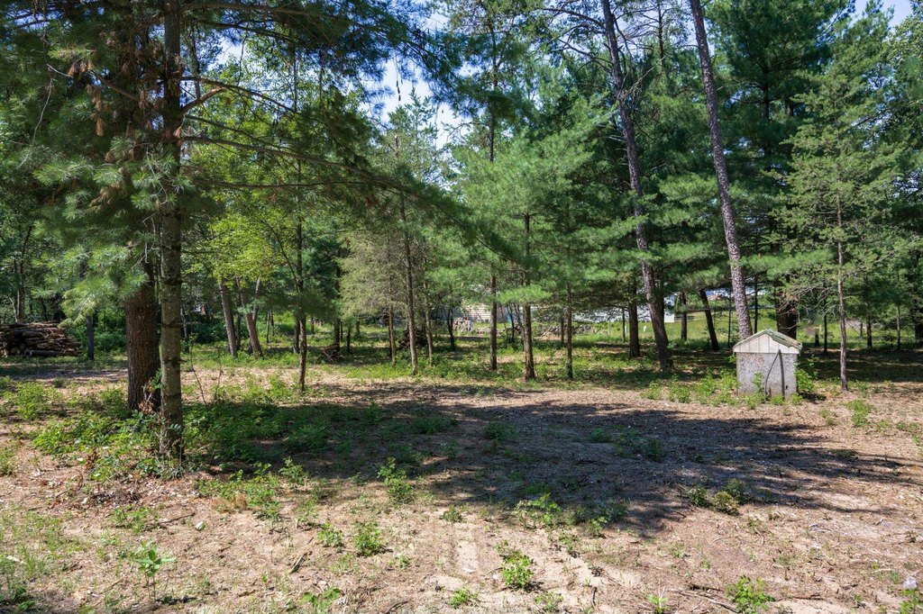 Picture 8