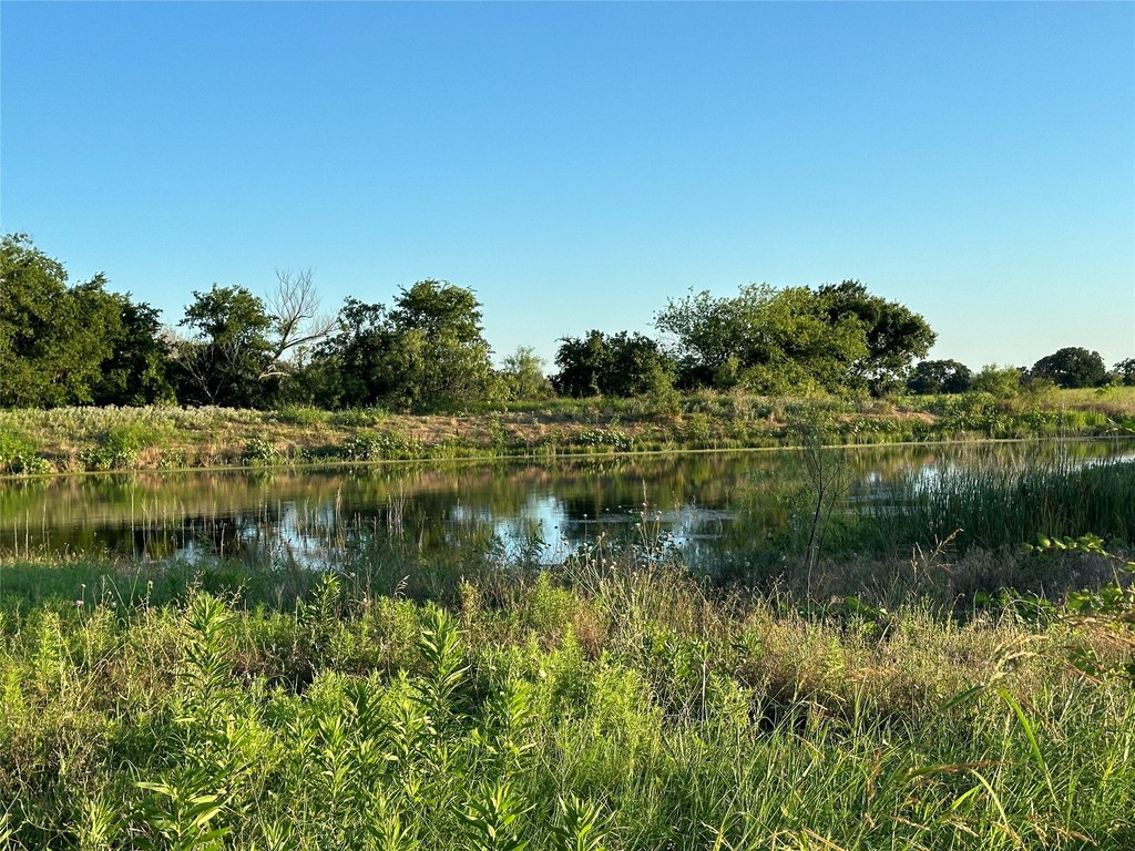 Picture 16