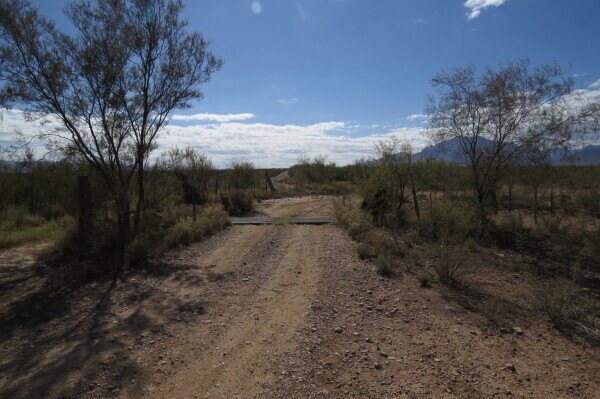 Picture 15