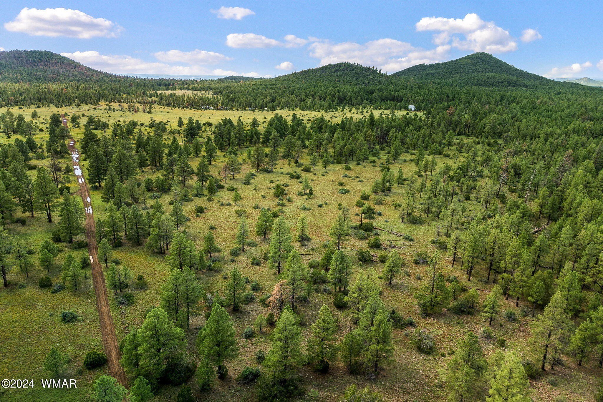 66 Acres in Vernon, Arizona