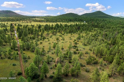 66 Acres in Vernon, Arizona