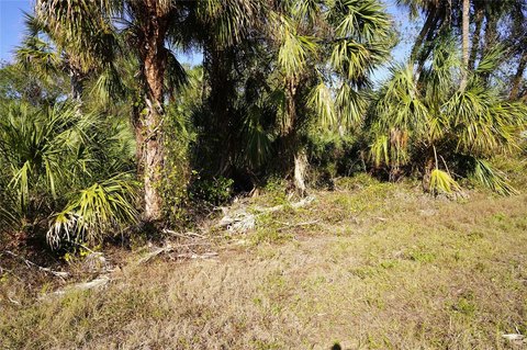Residential Land in Port Charlotte