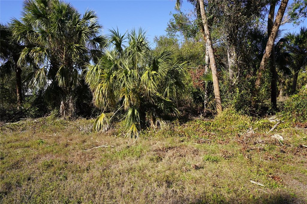 Picture 2