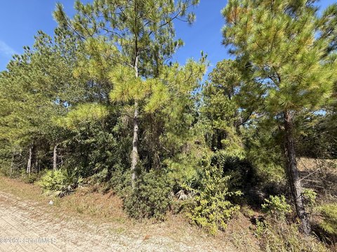 Land, Nahunta, GA
