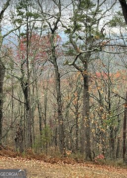 Two Acre Wooded Lot