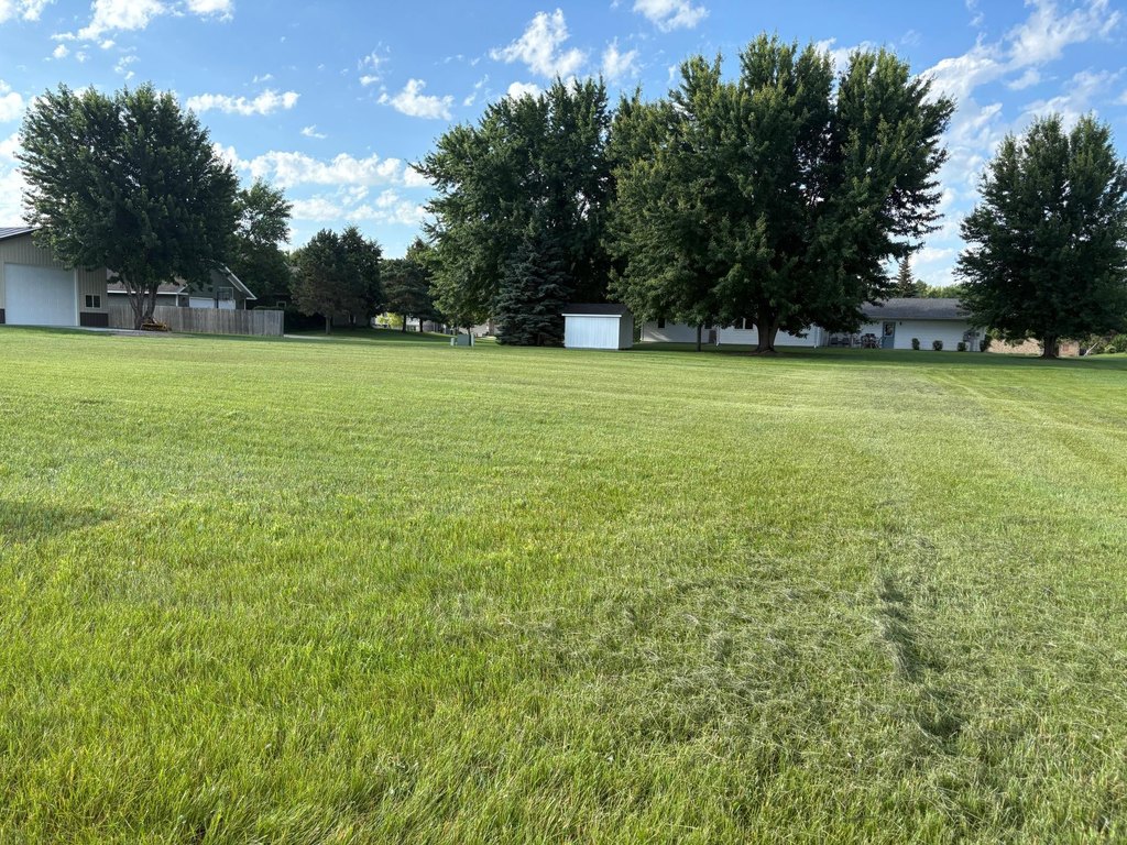 Picture 4