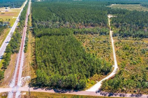 Agricultural Land Tract with Trees
