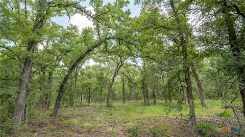 6 Acres with Creek Access