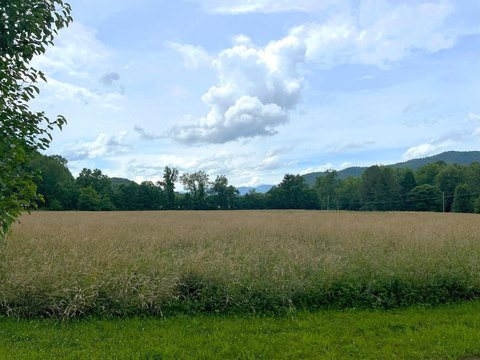 Cosby, TN Land Opportunity