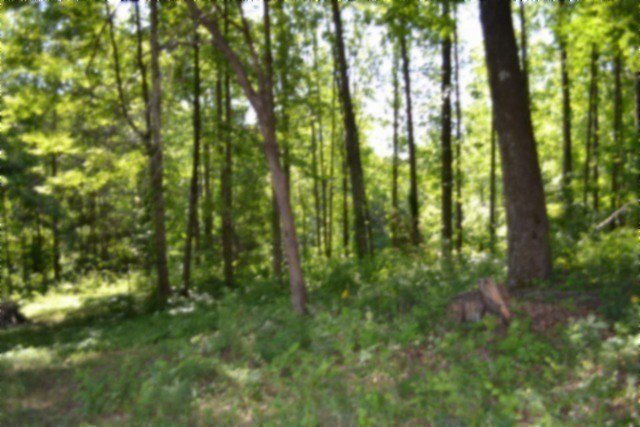 Picture 42
