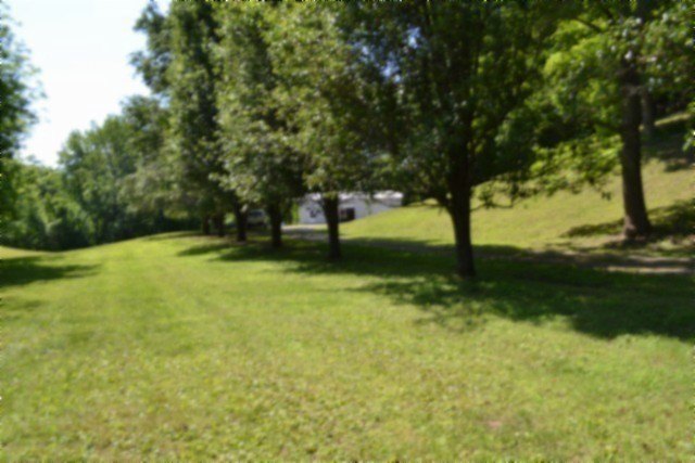 Picture 52