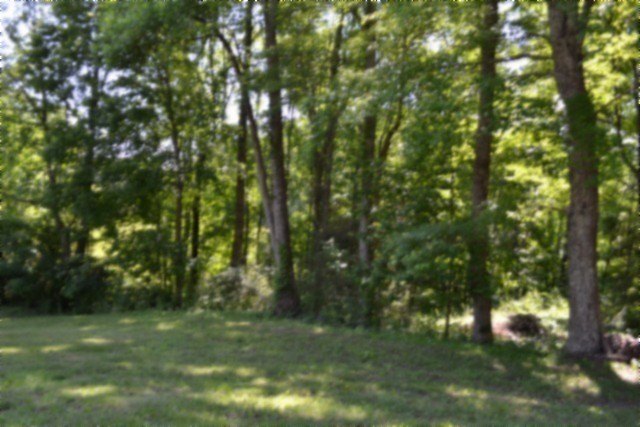 Picture 39