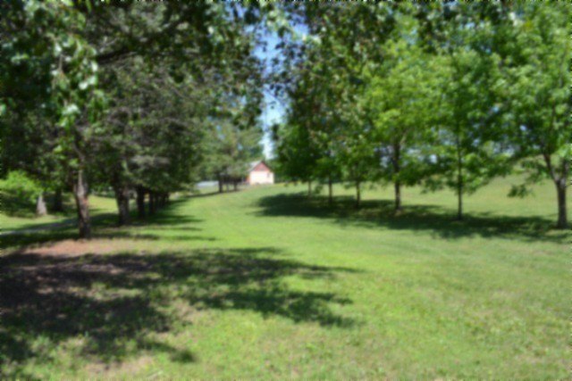 Picture 48