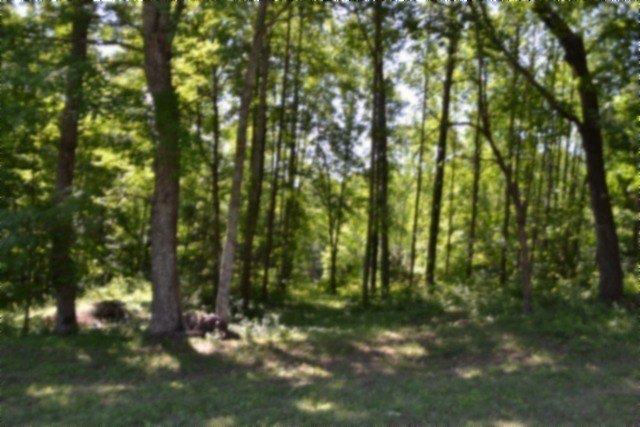 Picture 38